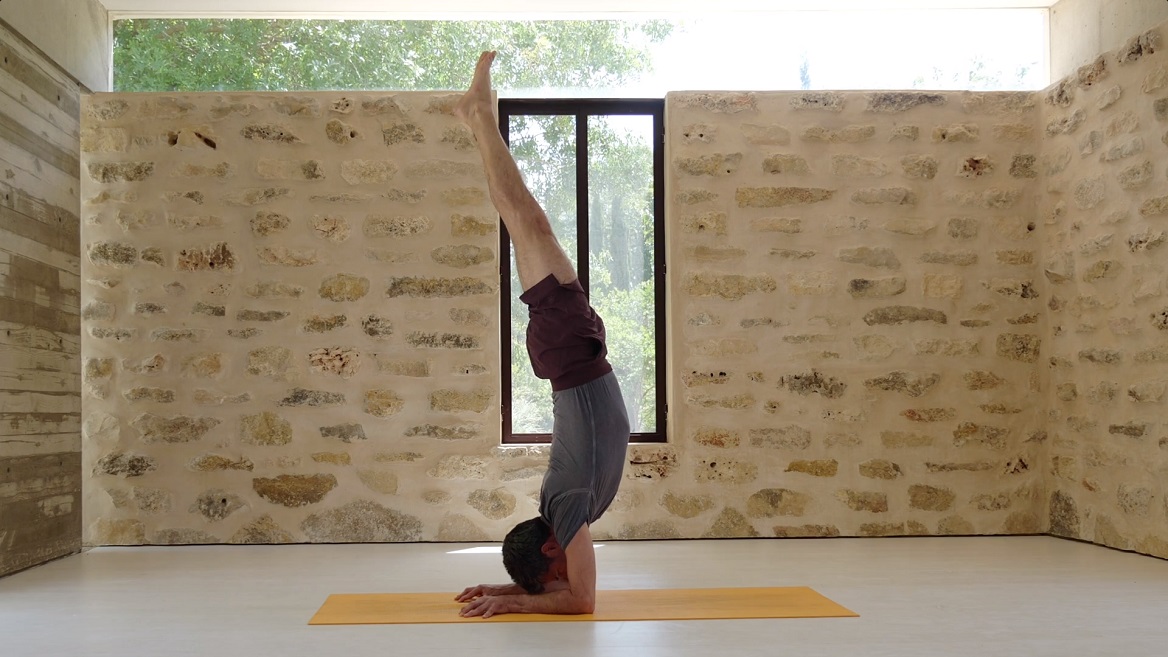 הקשר בין הגוף הקדמי והאחורי בתנוחות היוגה